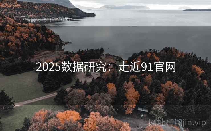 2025数据研究:走近91官网 2025数据研究:走近91官网