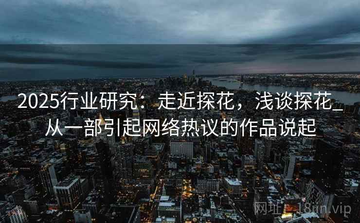 2025行业研究：走近探花，浅谈探花_从一部引起网络热议的作品说起