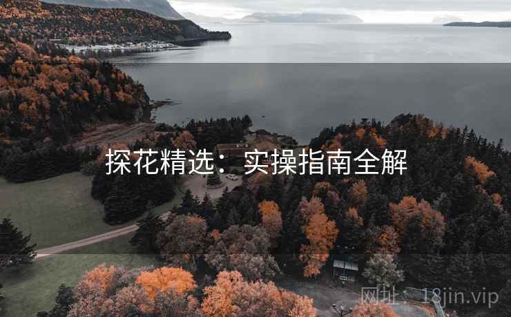 探花精选:实操指南全解 探花精选:实操指南全解