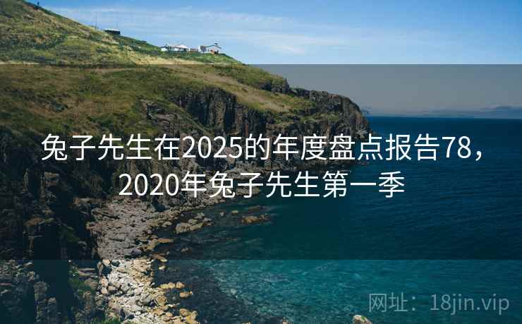 兔子先生在2025的年度盘点报告78,2020年兔子先生第一季 兔子先生在2025的年度盘点报告78,2020年兔子先生第一季