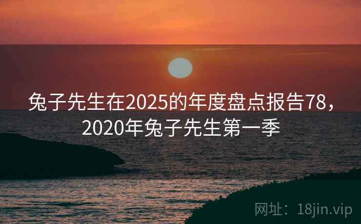 兔子先生在2025的年度盘点报告78,2020年兔子先生第一季 兔子先生在2025的年度盘点报告78,2020年兔子先生第一季